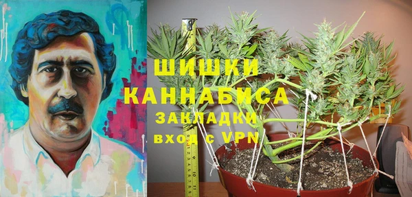 ГАЛЛЮЦИНОГЕННЫЕ ГРИБЫ Армянск