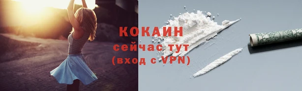 ГАЛЛЮЦИНОГЕННЫЕ ГРИБЫ Армянск