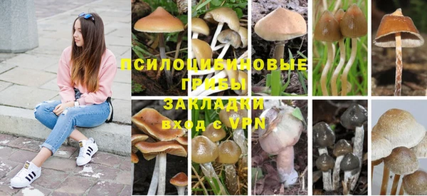 ГАЛЛЮЦИНОГЕННЫЕ ГРИБЫ Армянск