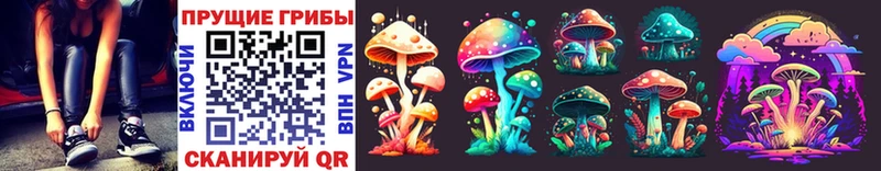 купить наркотик  Калтан  mega ссылка  Псилоцибиновые грибы Cubensis 